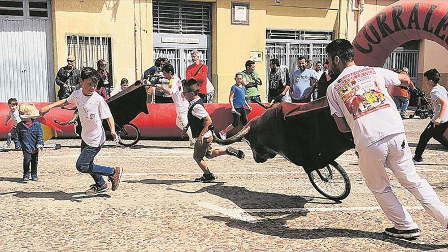 Los corrales taurinos de Ca la Vila abren por las Jornades del Bou