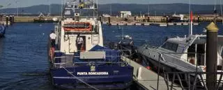 Gardacostas intenta proteger al pulpo