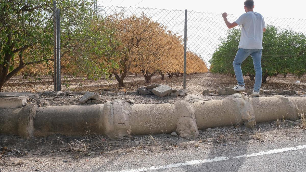 La reducción de las superficies dedicadas al cultivo es un fenómeno extendido en toda la Comunitat.