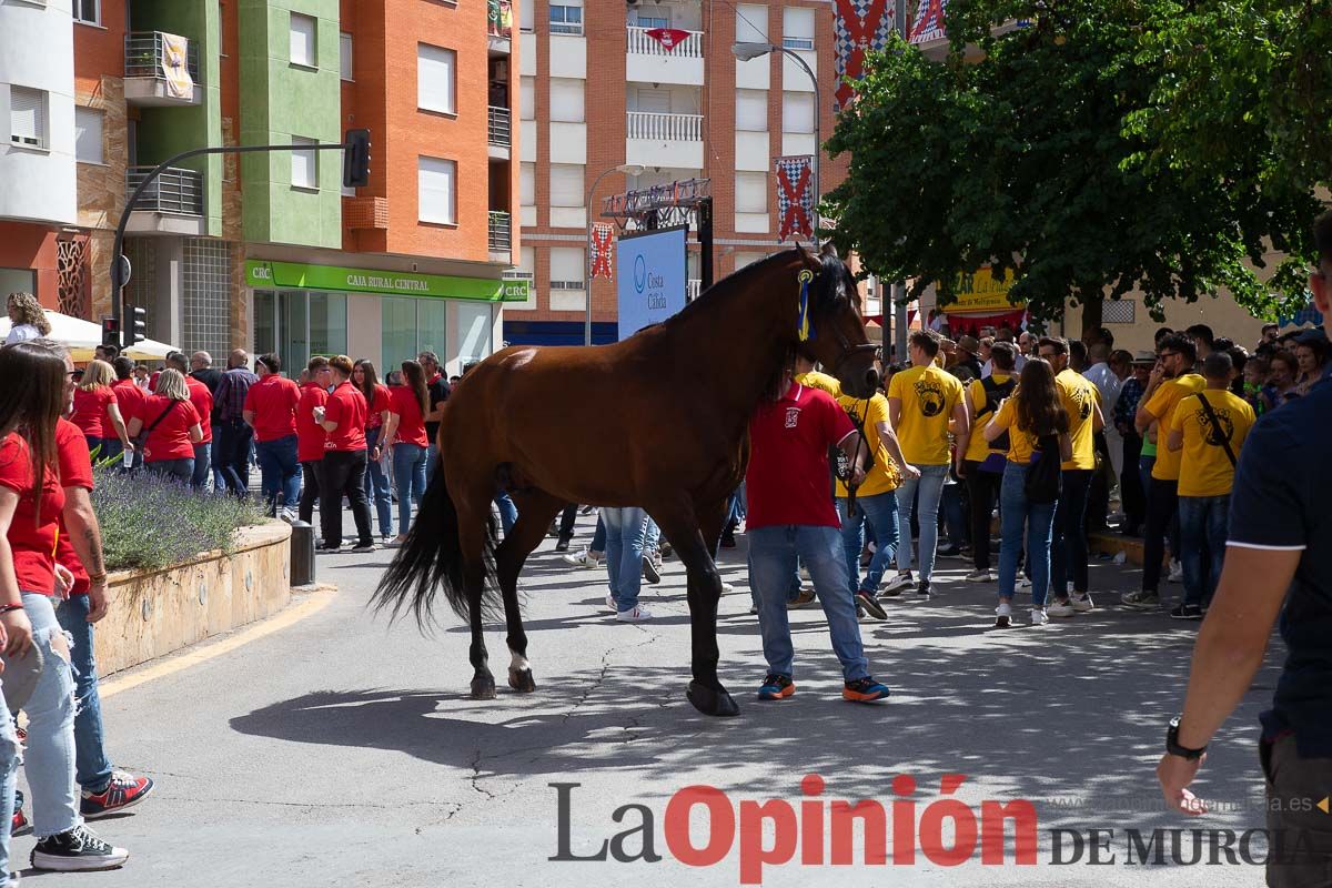 Pasacalles caballos del vino al hoyo