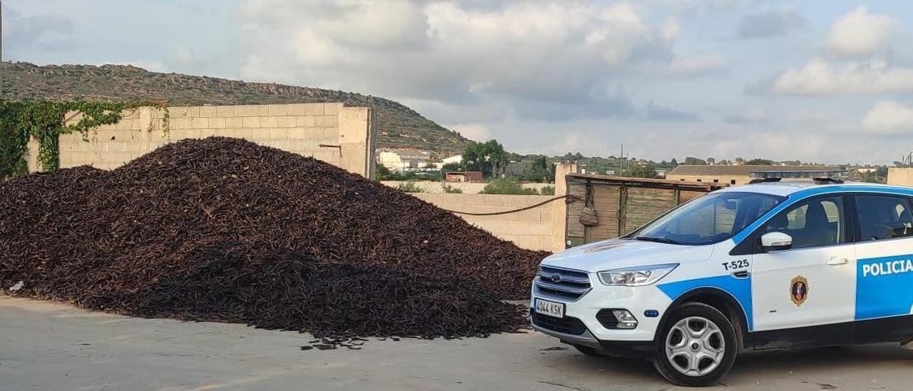 La Policía de la Generalitat ha intervenido más de 54 toneladas de algarroba y 2 toneladas de almendra.