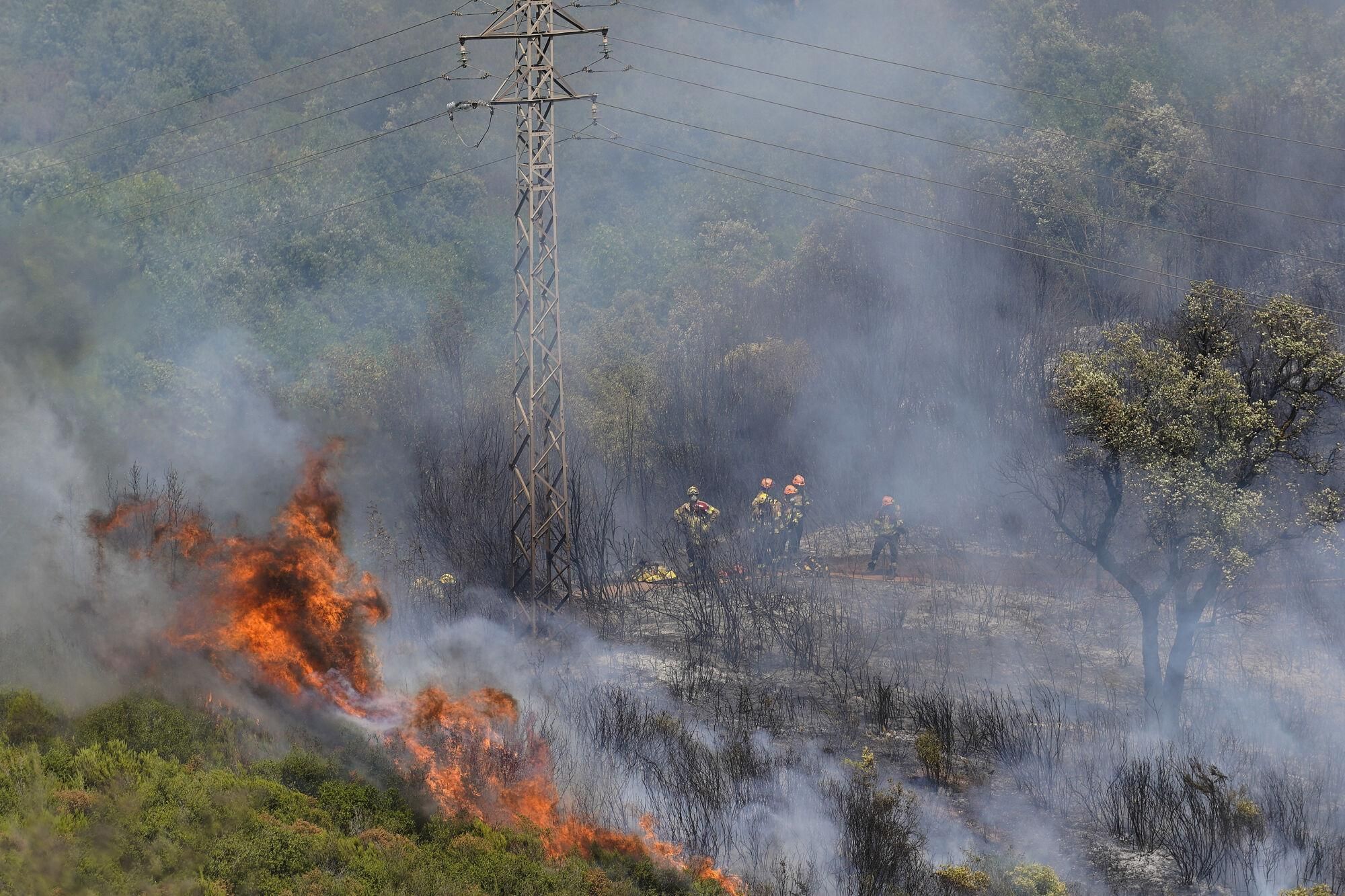 Girona zona boscosa font de la pólvora sant Daniel incendi forestal