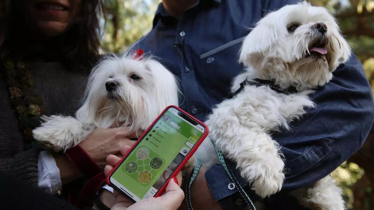 Los dueños de dos perros utilizan una red social para mascotas.
