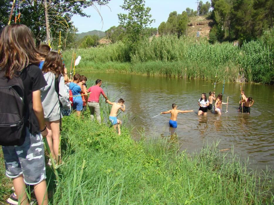 Infants de Sant Salvador creen el 'bosc de l'alegria'