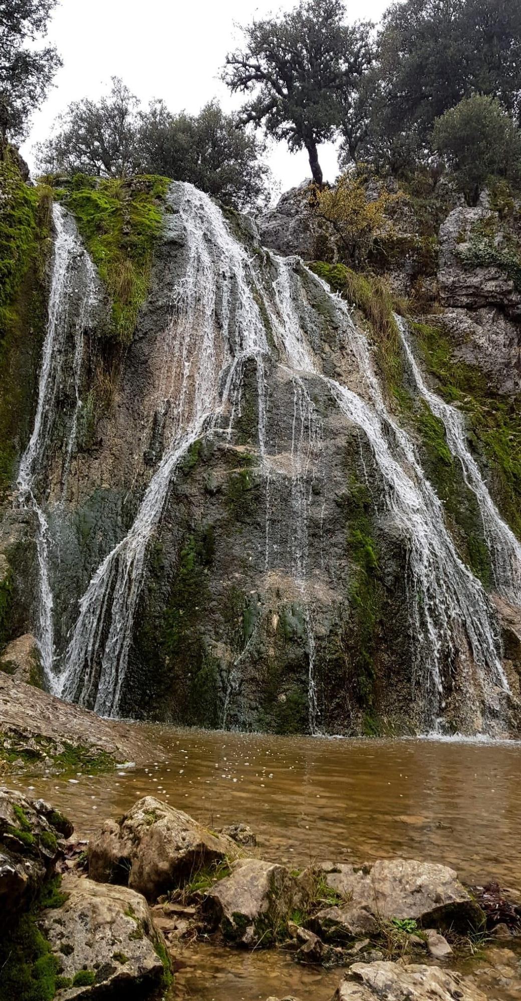 El paraíso tras las lluvias en la sierra de Cabra tras las lluvias