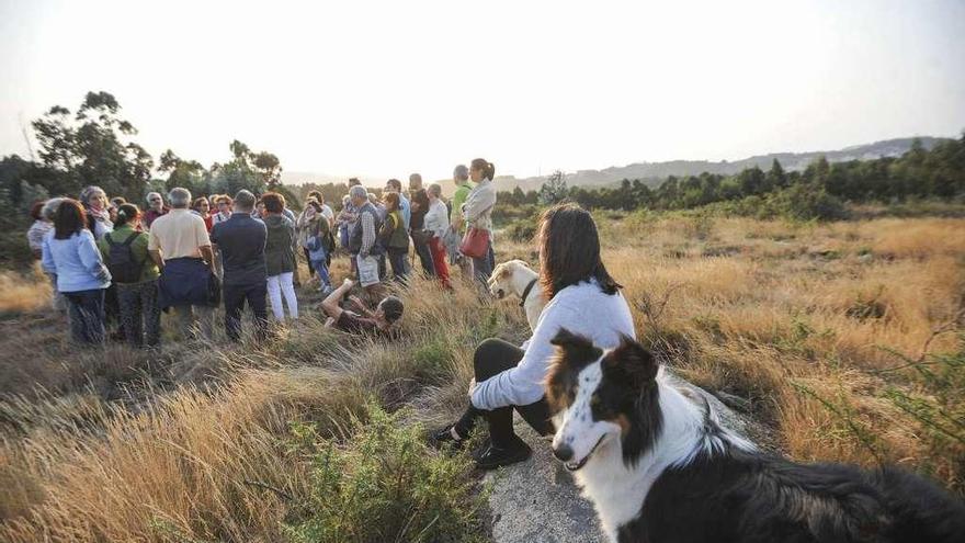 Ubicación en la que Gesmaga pretende construir la planta de residuos de Santa Icía.