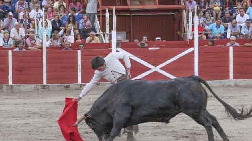 Uno de los espectáculos taurinos de Fermoselle del pasado año.