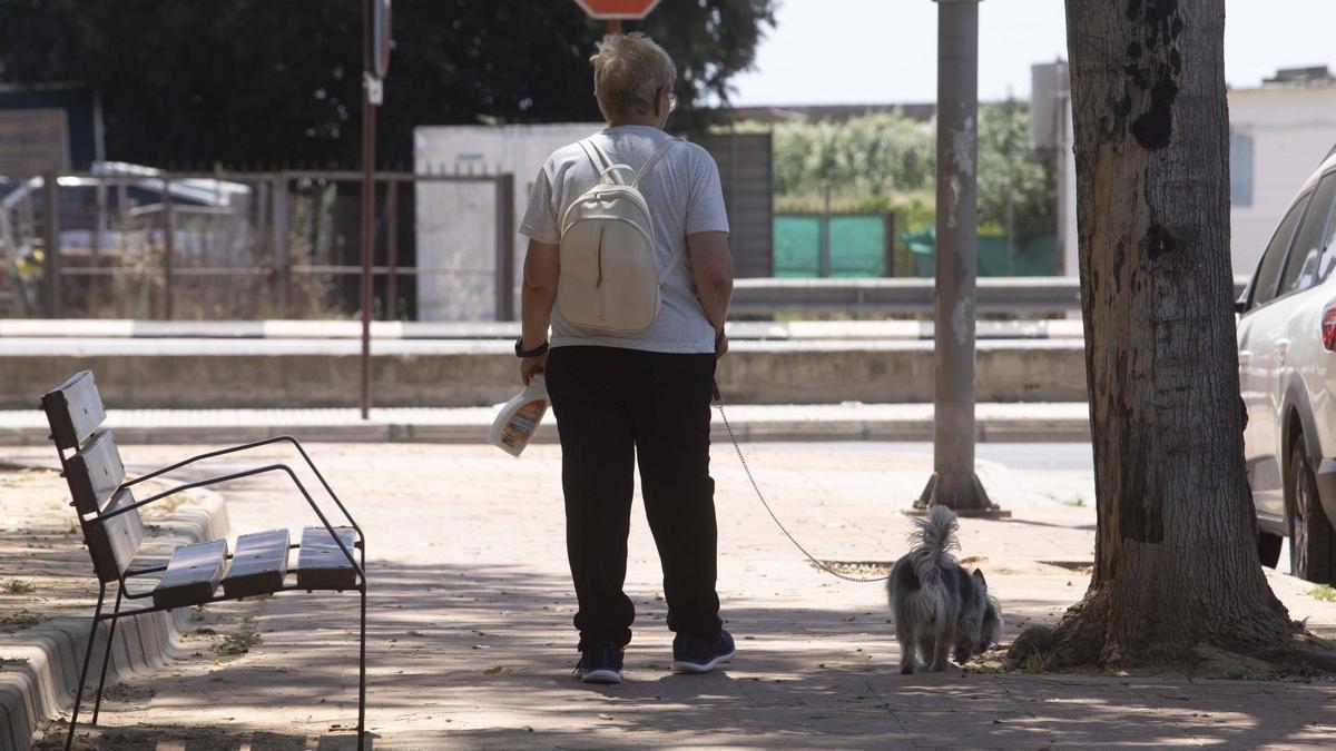 Una mujer pasea a su perro por Alzira con una botella para limpiar los orines del can.