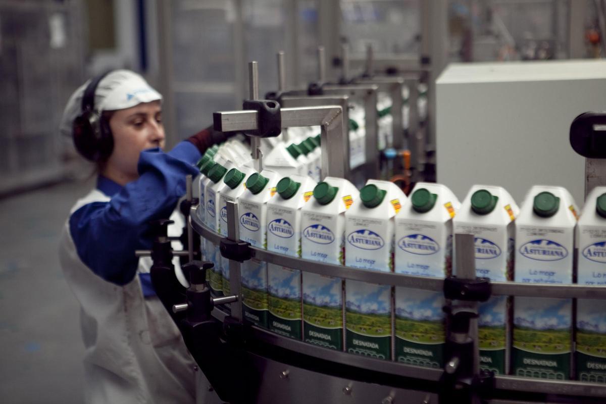 Una operaria, en la factoría de Central Lechera en Grada, en Siero.