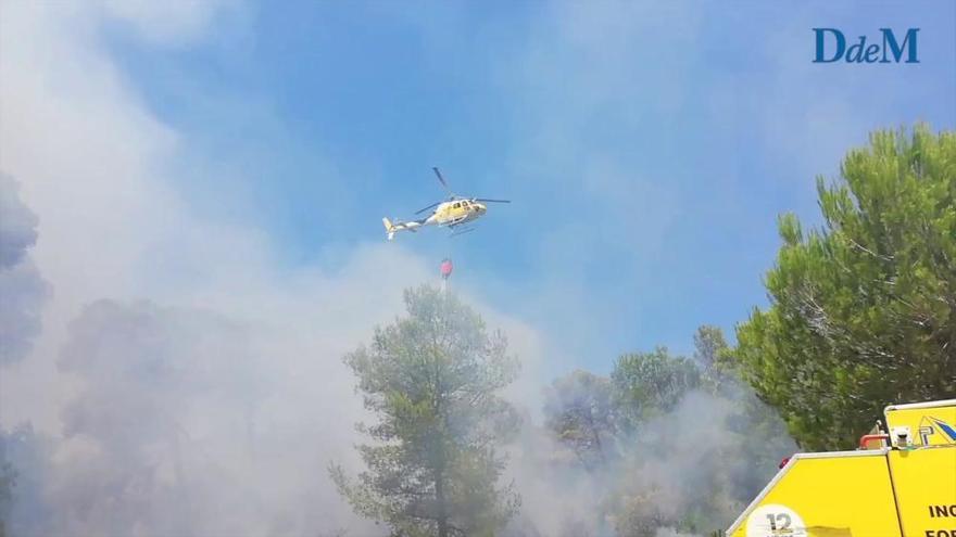 Un incendio en la Costa dels Pins calcina 0,23 hectáreas de pinar