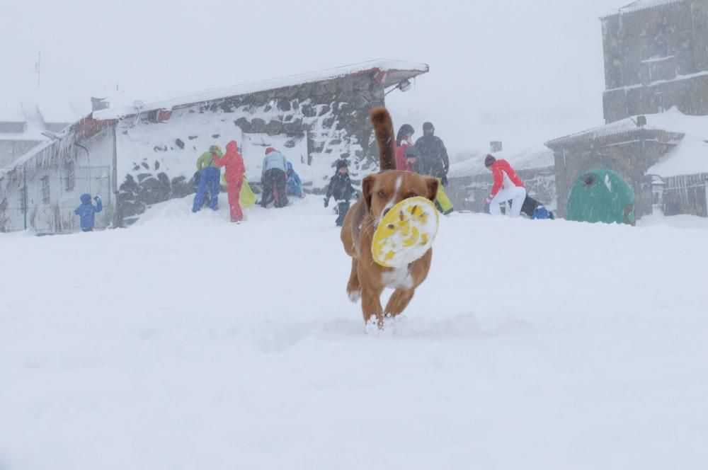 Temporal en Asturias