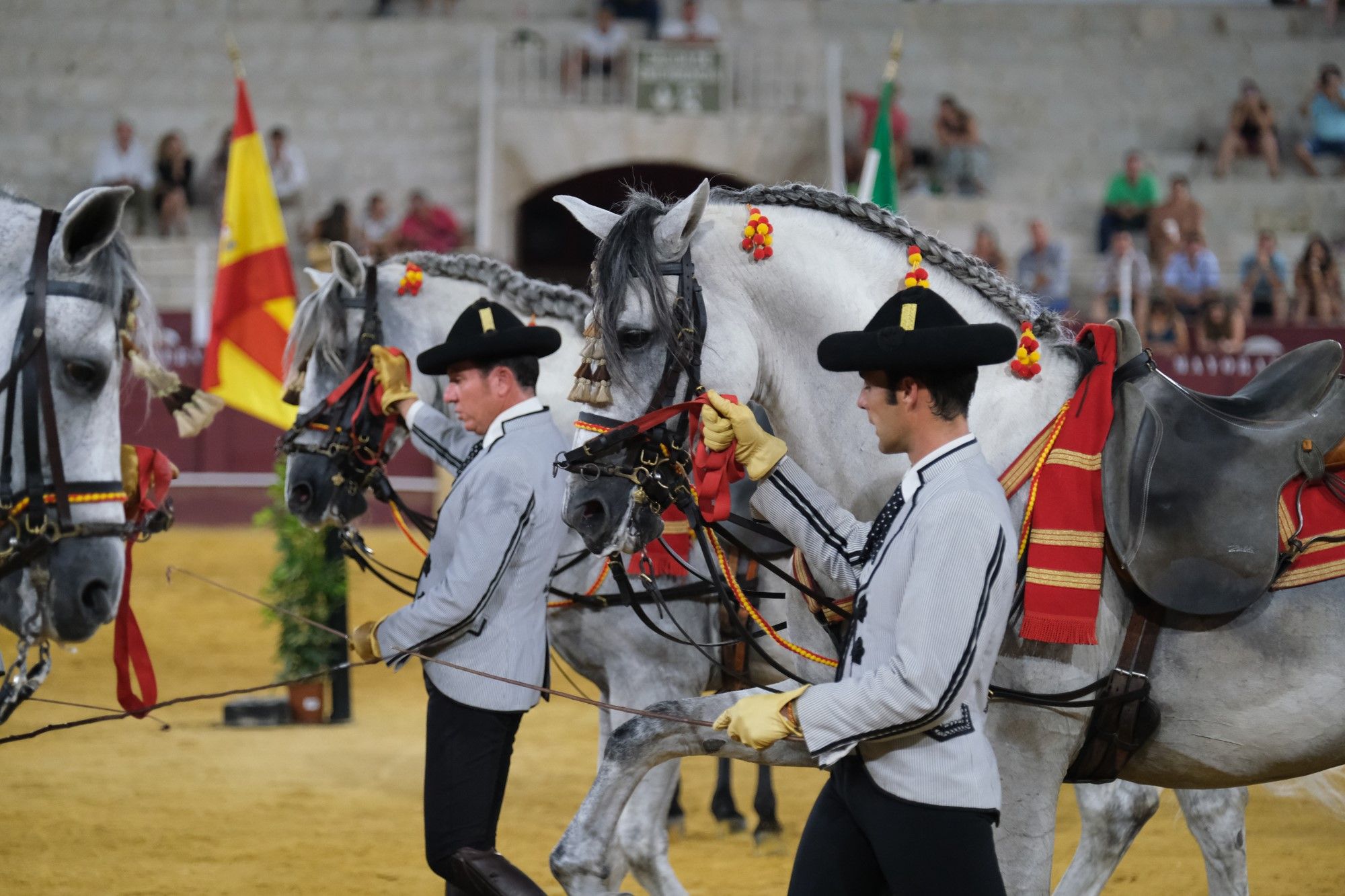 Los caballos andaluces bailan sobre el albero de La Malagueta