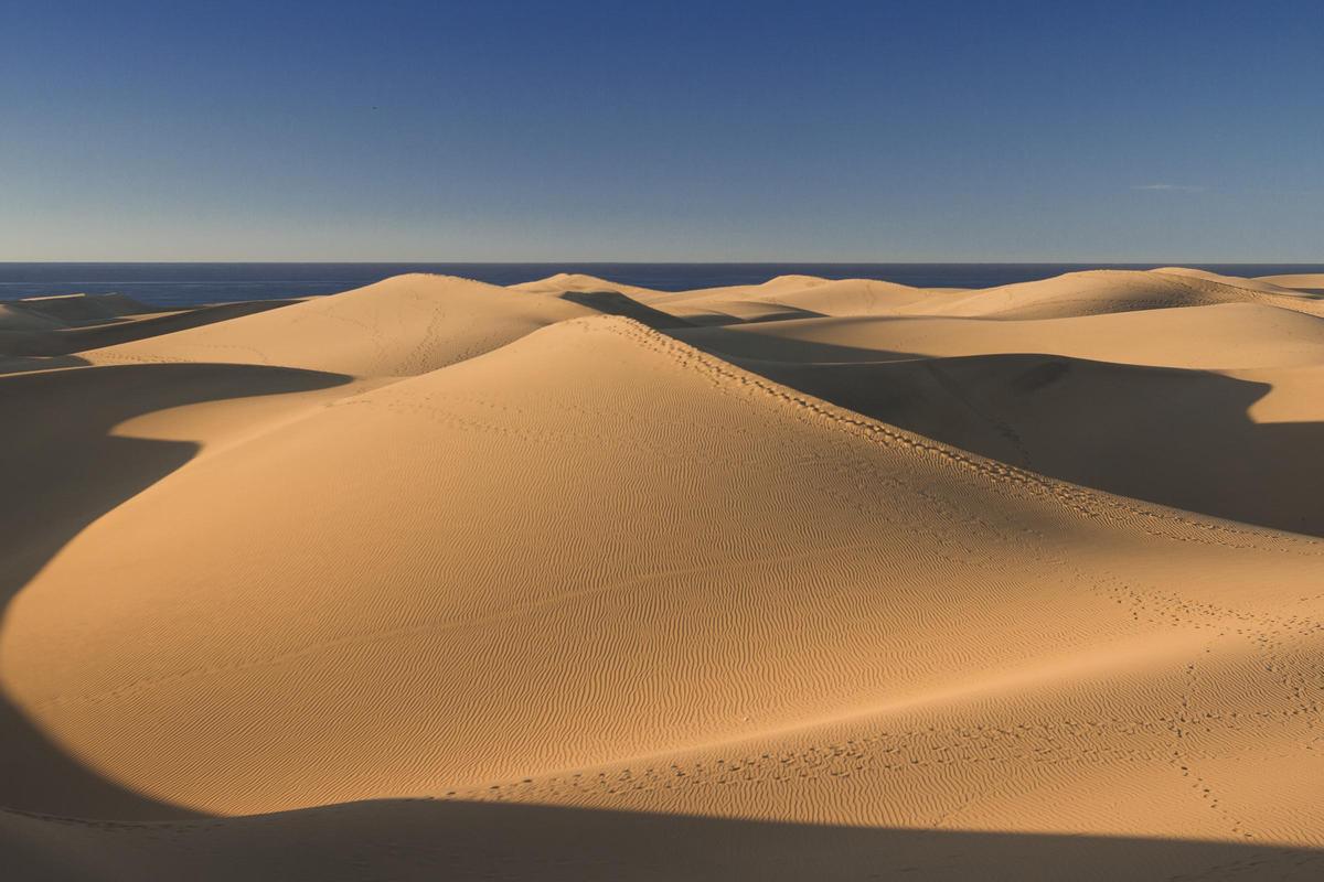Reserva Natural Especial de las Dunas de Maspalomas