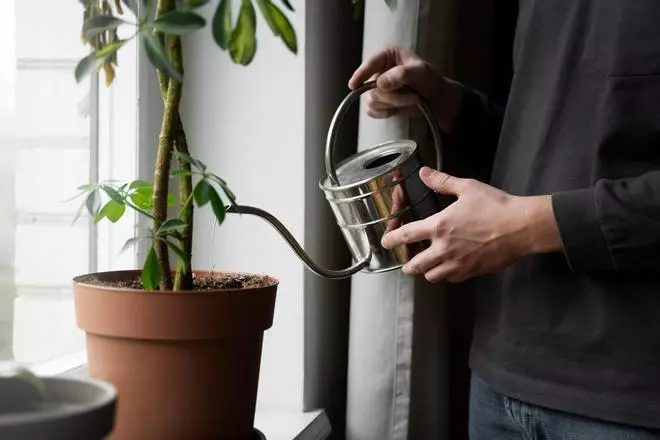 Así es el sistema de riego automático para cuidar tus plantas en vacaciones