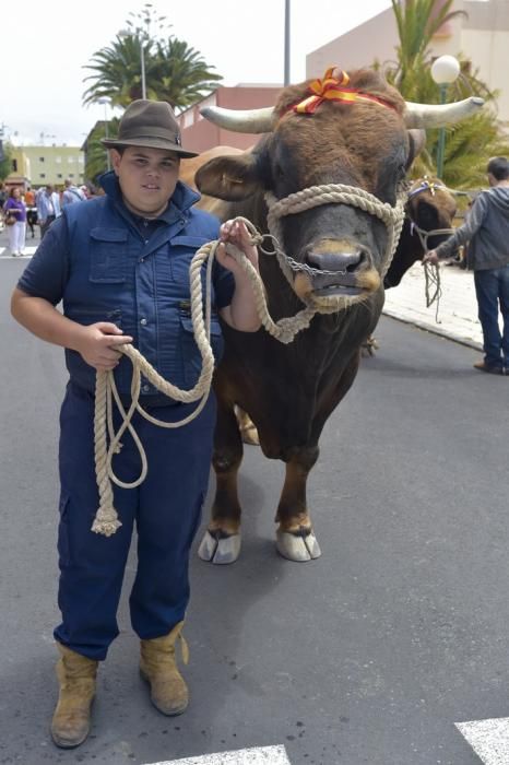 Feria de ganado y procesión de San José Obrero