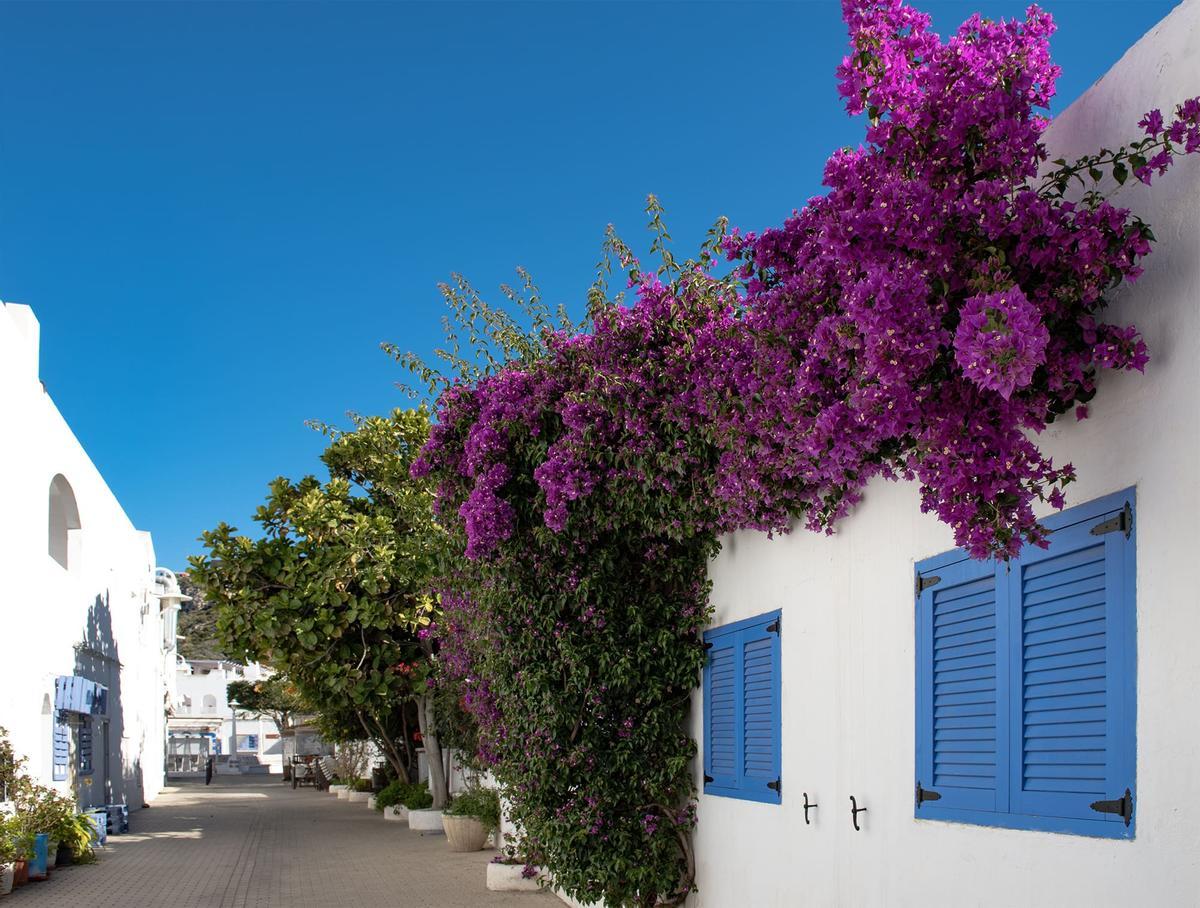 Una de las calles de Agua Amarga, que destaca por sus paredes blancas, remates en azul y flores.