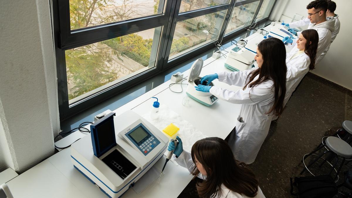 Instalaciones de la UPV, en una imagen de archivo.