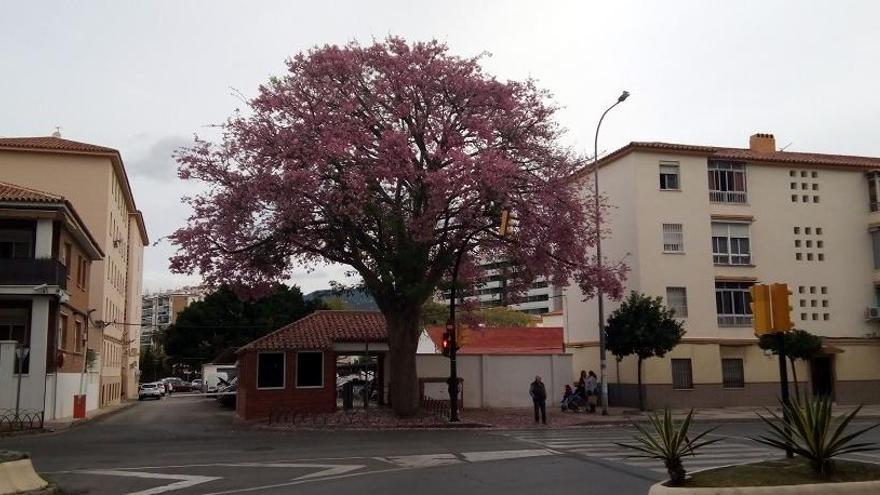 El otoño florece por el arroyo de los Ángeles