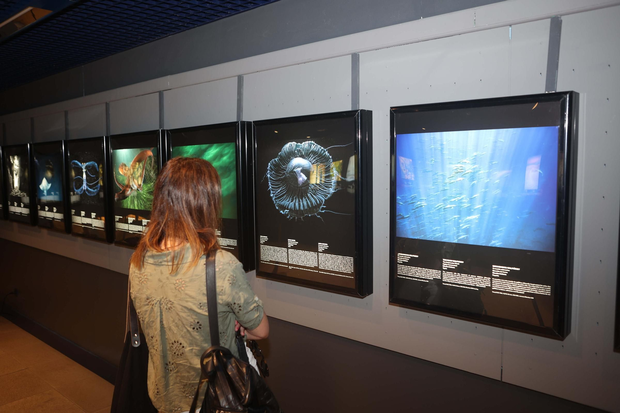 85 fotos forman parte de la exposición &#039;Fotógrafos na natureza&#039; en el Aquarium