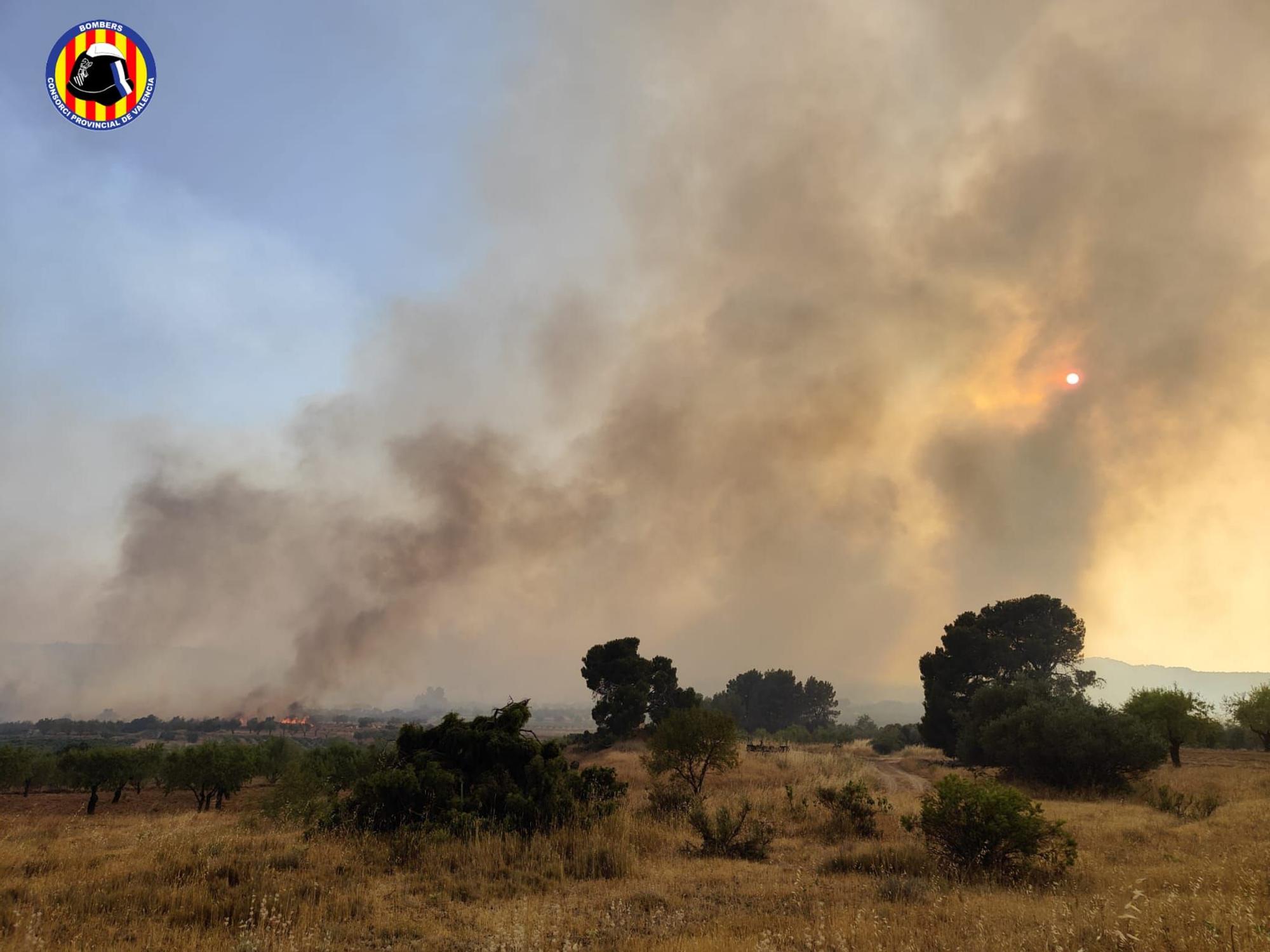 Incendio forestal en Venta del Moro