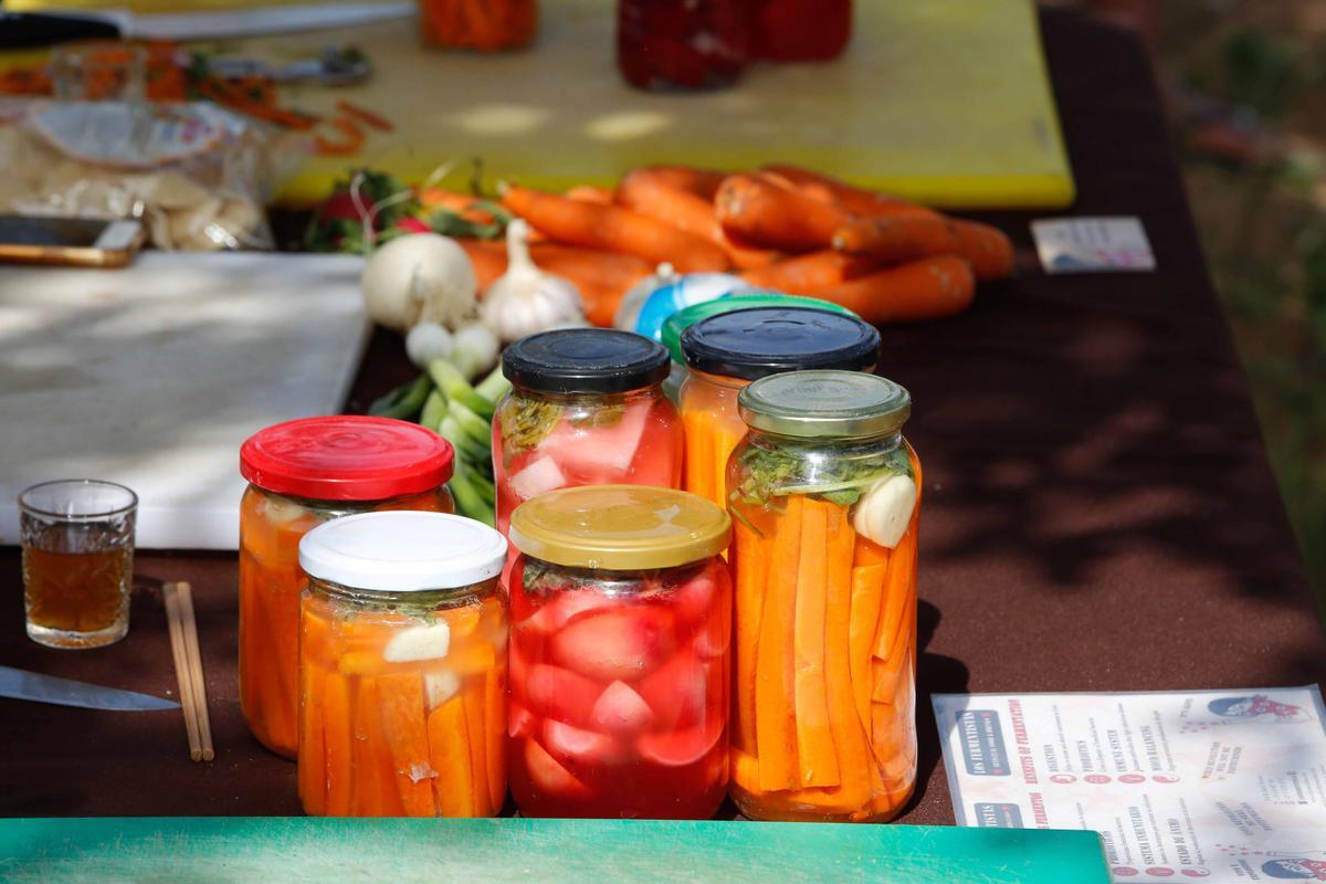 Taller de fermentación en Ibiza