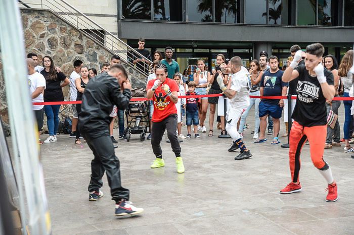 ENTRENAMIENTO BOXEO