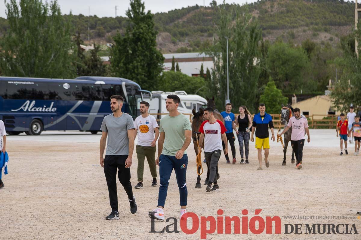 Control veterinario de los Caballos del Vino en Caravaca