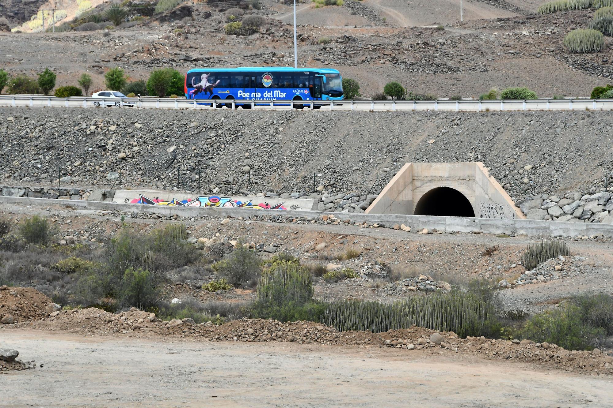 Terrenos de el Veril donde Loro Parque tiene previsto levantar el Siam Park