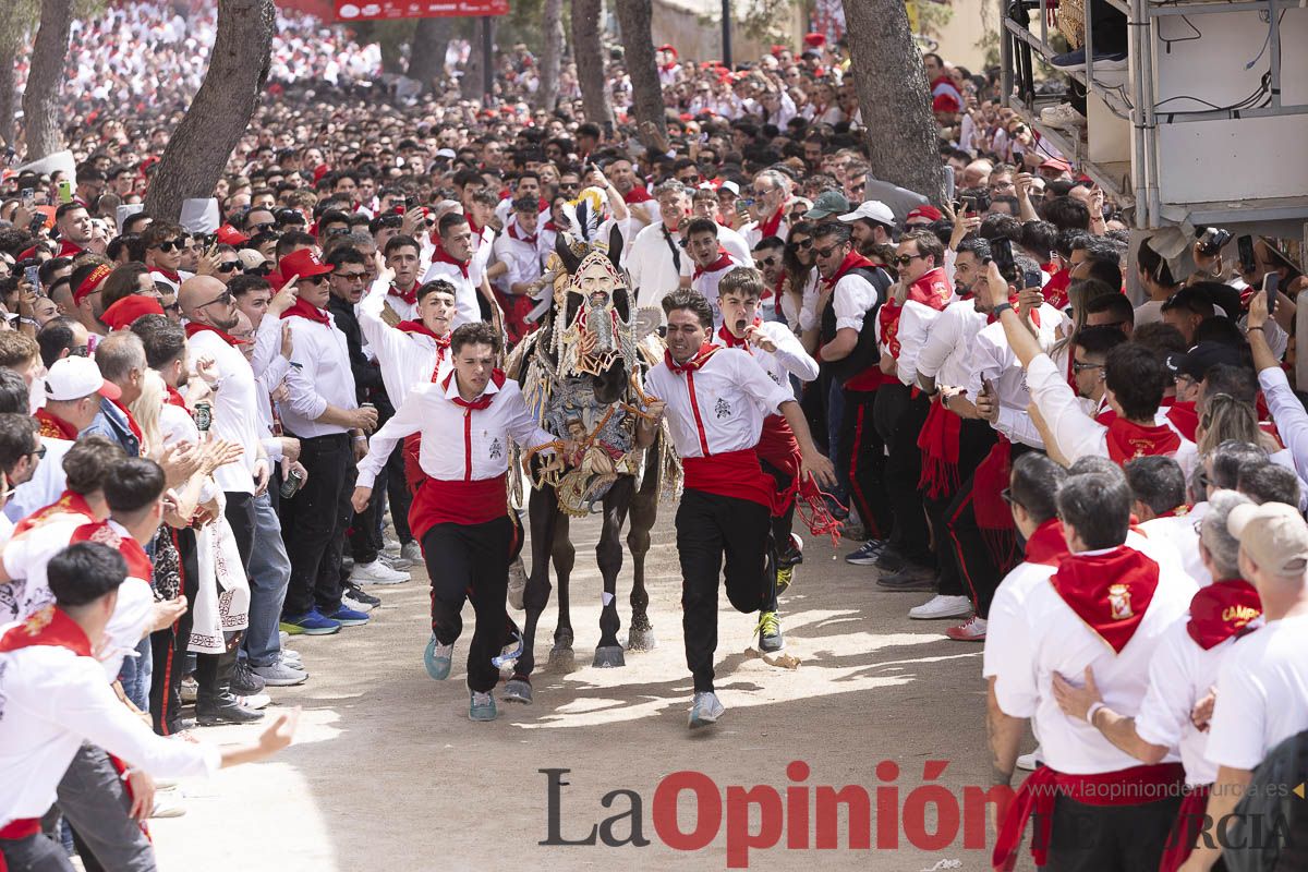 Así se ha vivido la carrera de Los Caballos del Vino en Caravaca
