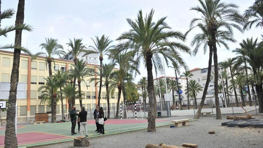 Familiares de alumnos del colegio Els Arrels, junto a representantes de Volem Palmerar, este jueves,  en las instalaciones educativas rodeadas de palmeras