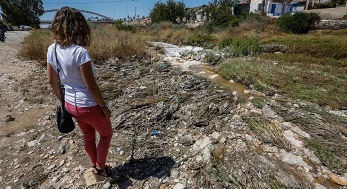 Invasión de toallitas en el Vinalopó