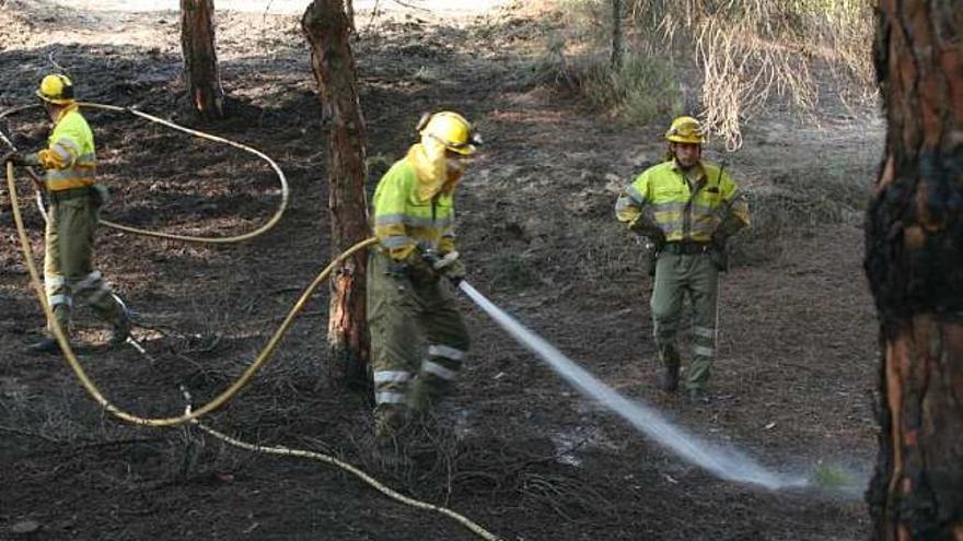 El incendio se sofocó con medios terrestres y aéreos