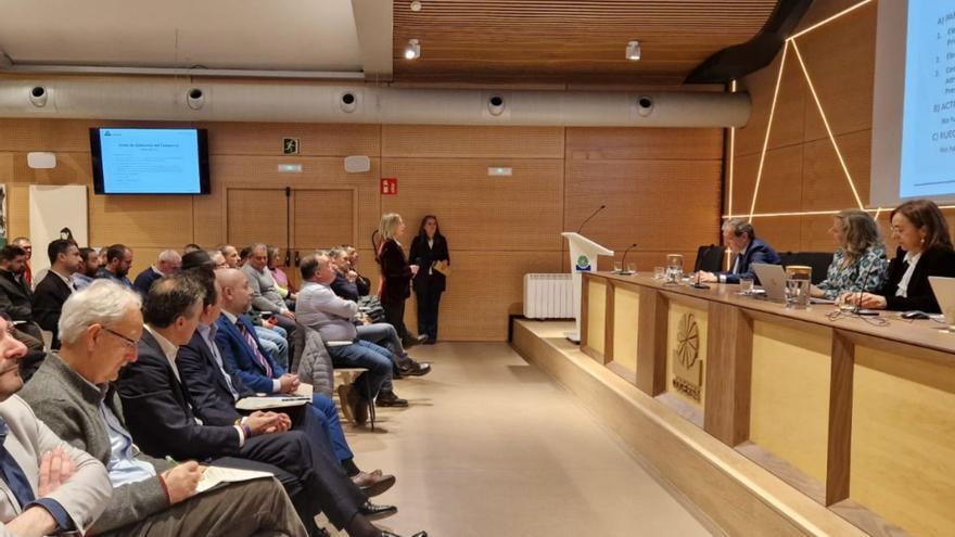 Paz Orviz y Belarmina Díaz, a la derecha, ante los representantes de los concejos. |
