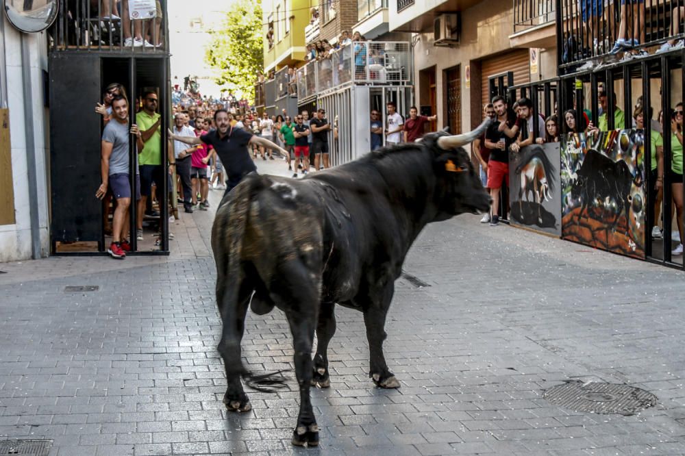 Fiestas de la Vaca de Castalla.