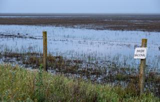 El plan de Doñana logra reducir en un 40% la superficie de regadío ilegal