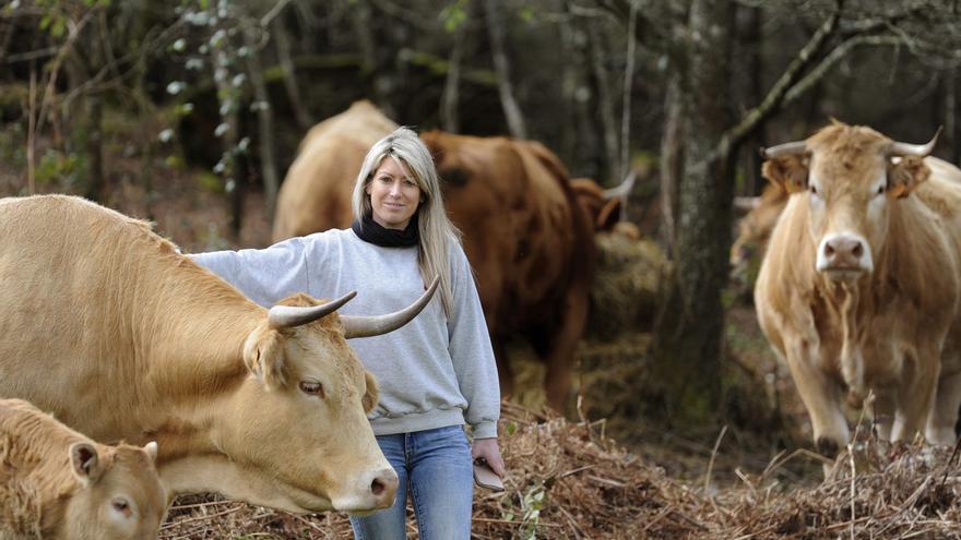 El precio de la carne de vacuno se duplica desde la pandemia por la oferta limitada