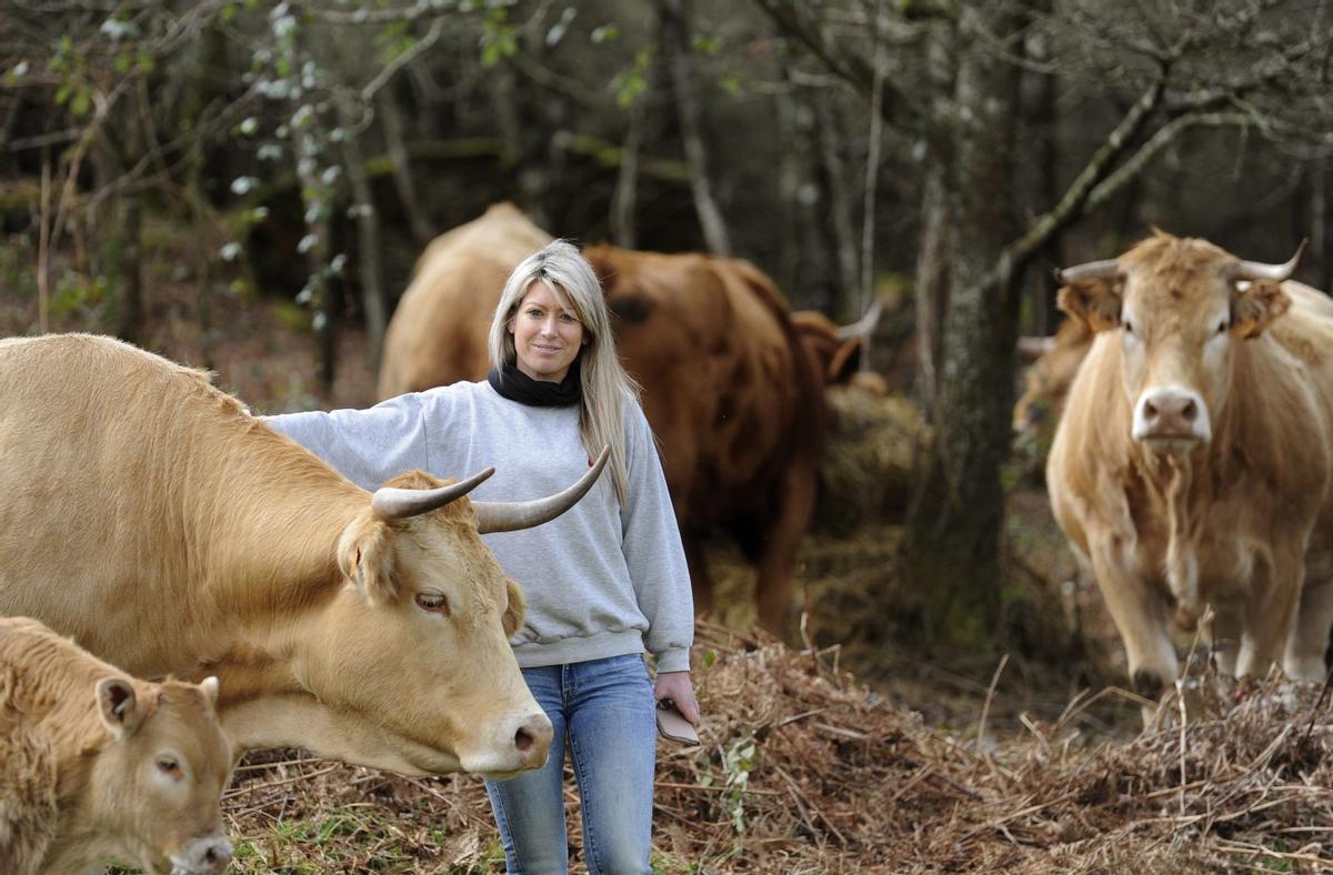 Una explotación de vacuno de rubia gallega en Negrelos, en Rodeiro. | BERNABÉ/JAVIER LALÍN
