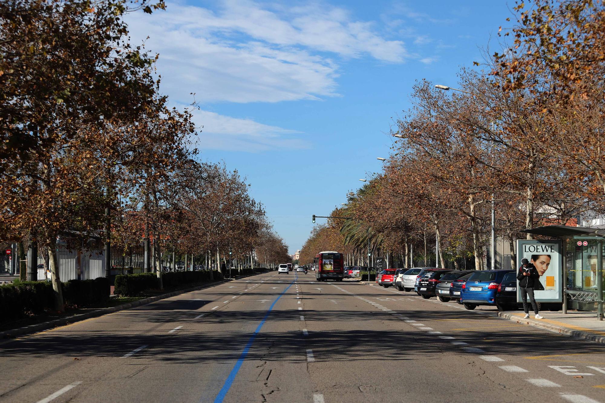 Este es el recorrido que verán los participantes de la Maratón