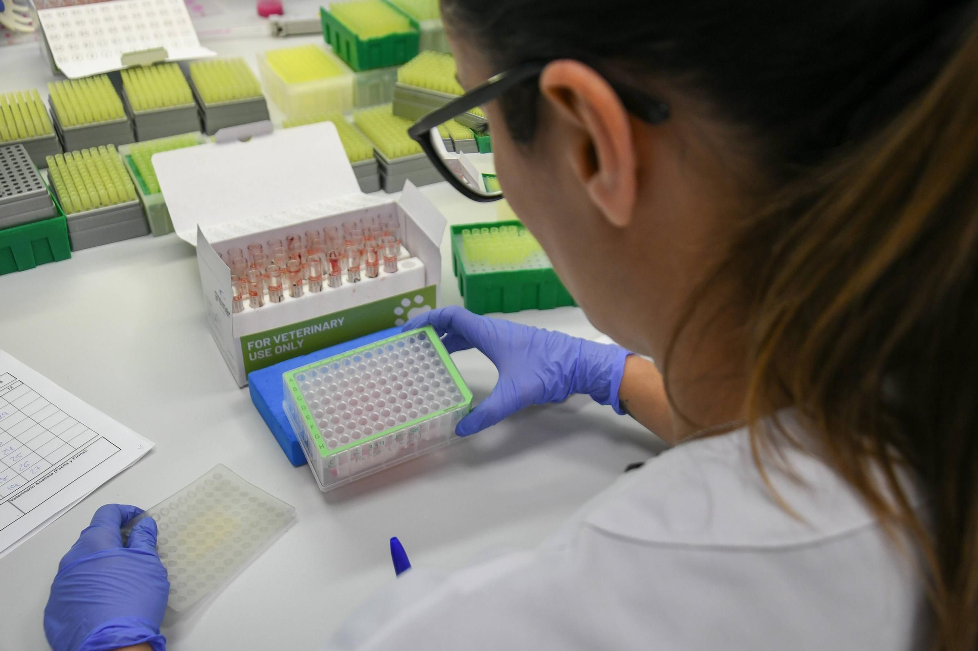GALERÍA | Así trabaja el Laboratorio de Sanidad Animal de Zamora