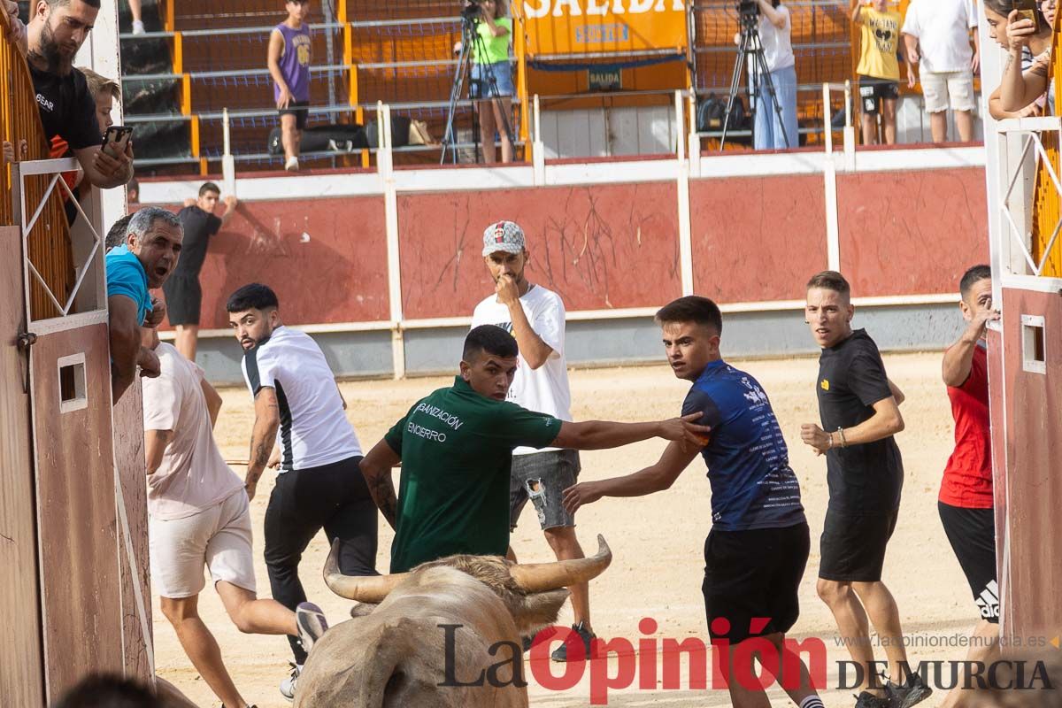 Segundo encierro de la Feria Taurina del Arroz en Calasparra