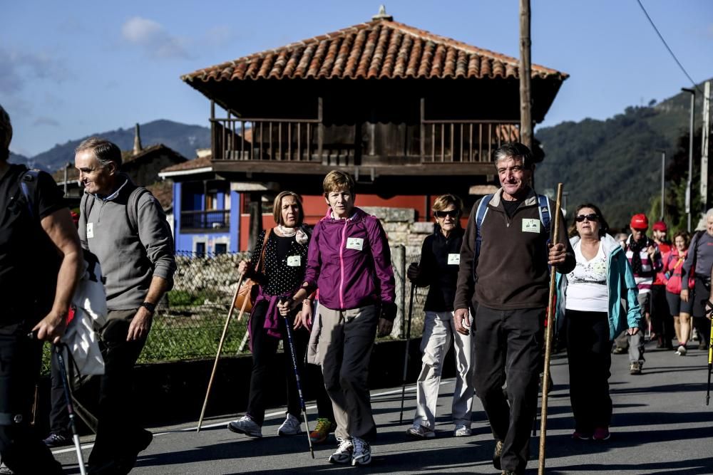 Ruta de las Santas Reliquias, entre Oviedo y el Monsacro