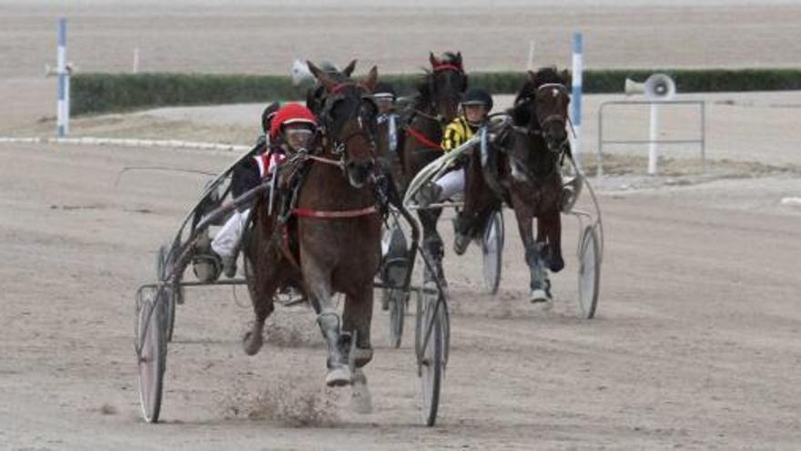 Galant Mar L, con Damià Oliver, en su remate por el centro de la pista de Son Pardo.