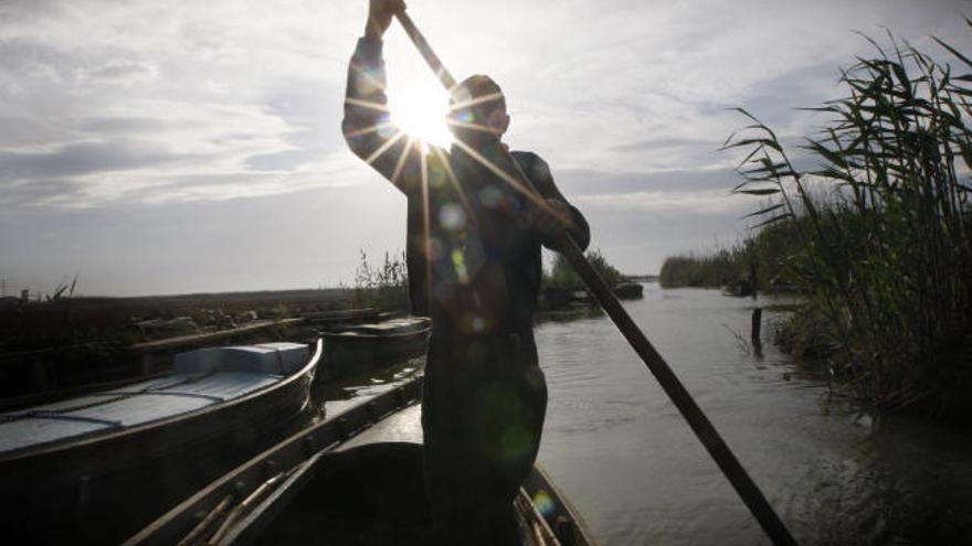 100 años de Albufera valenciana