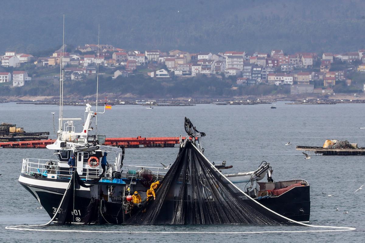 El cerquero «Novo Rosymar» durante una jornada de pesca en la ría de Arousa.