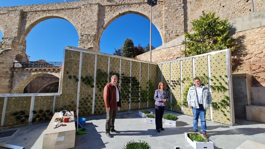 El Barrio del Carrel cuenta con el primer jardín vertical de la ciudad de Teruel