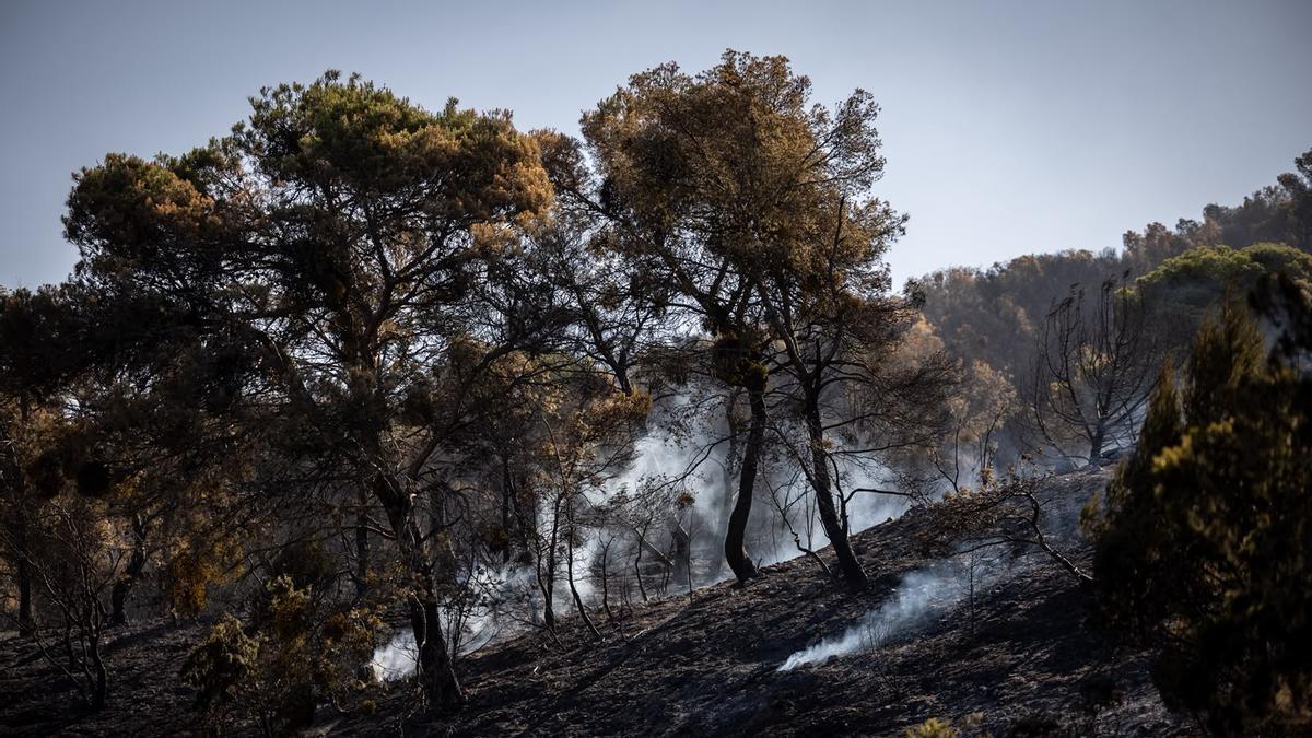 Un agricultor circula junto a las llamas en el incendio cerca de Robres