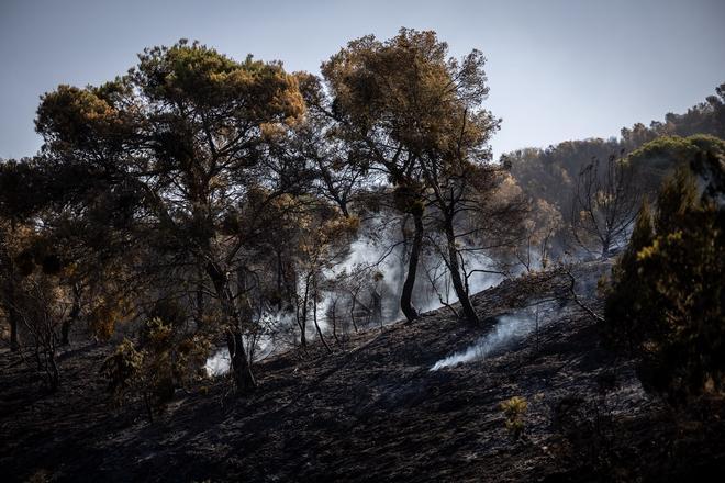 EN IMÁGENES | Continúan las labores de extinción del fuego en Leciñena