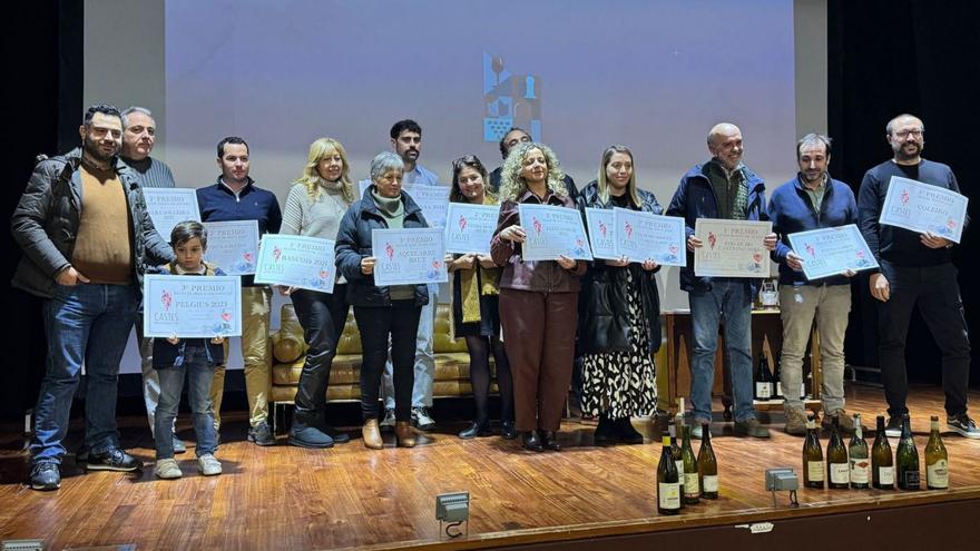 Los finalistas en las diferentes categorías con sus diplomas en el Salón García. |  FdV