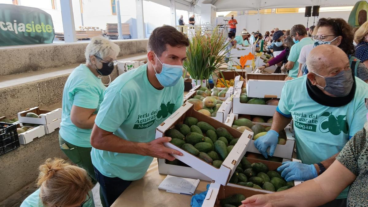 Feria del Aguacate en Arguineguín.