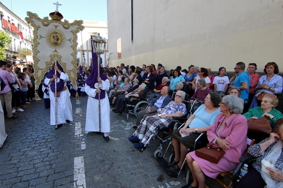 FOTOGALERÍA / Hermandad de la Santa Faz